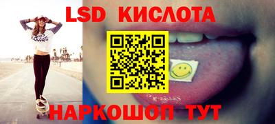 винт Донецк