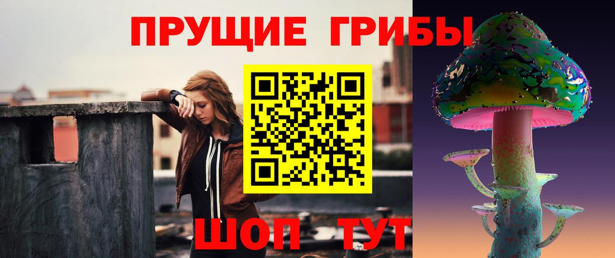 Галлюциногенные грибы MAGIC MUSHROOMS  Вход с VPN  цены наркотик  Барабинск 