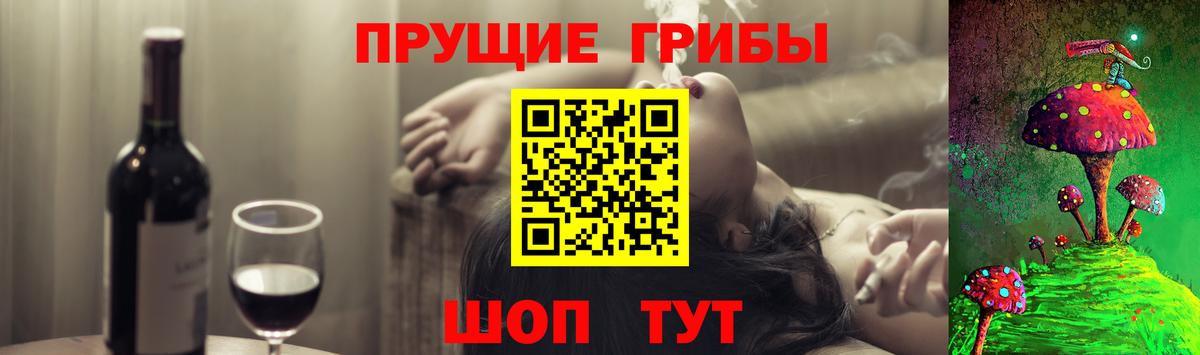 Псилоцибиновые грибы мухоморы Барабинск